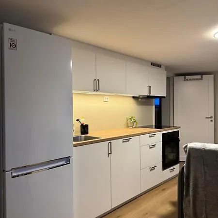 Downtown With Good Bus Connections Apartment